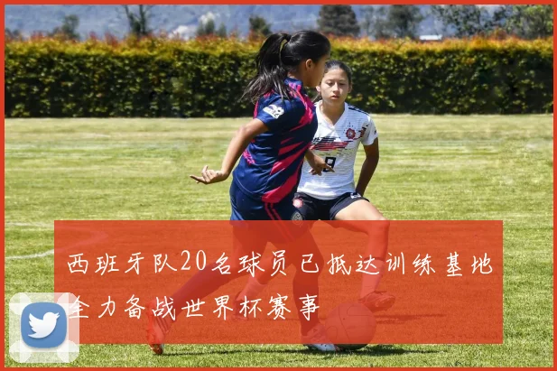 西班牙队20名球员已抵达训练基地全力备战世界杯赛事
