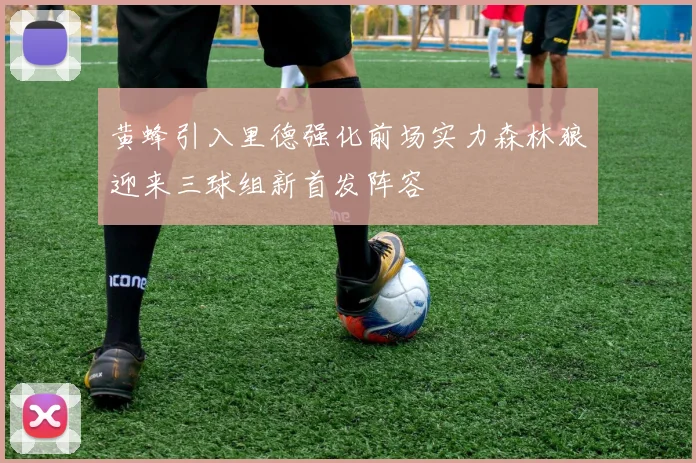黄蜂引入里德强化前场实力森林狼迎来三球组新首发阵容